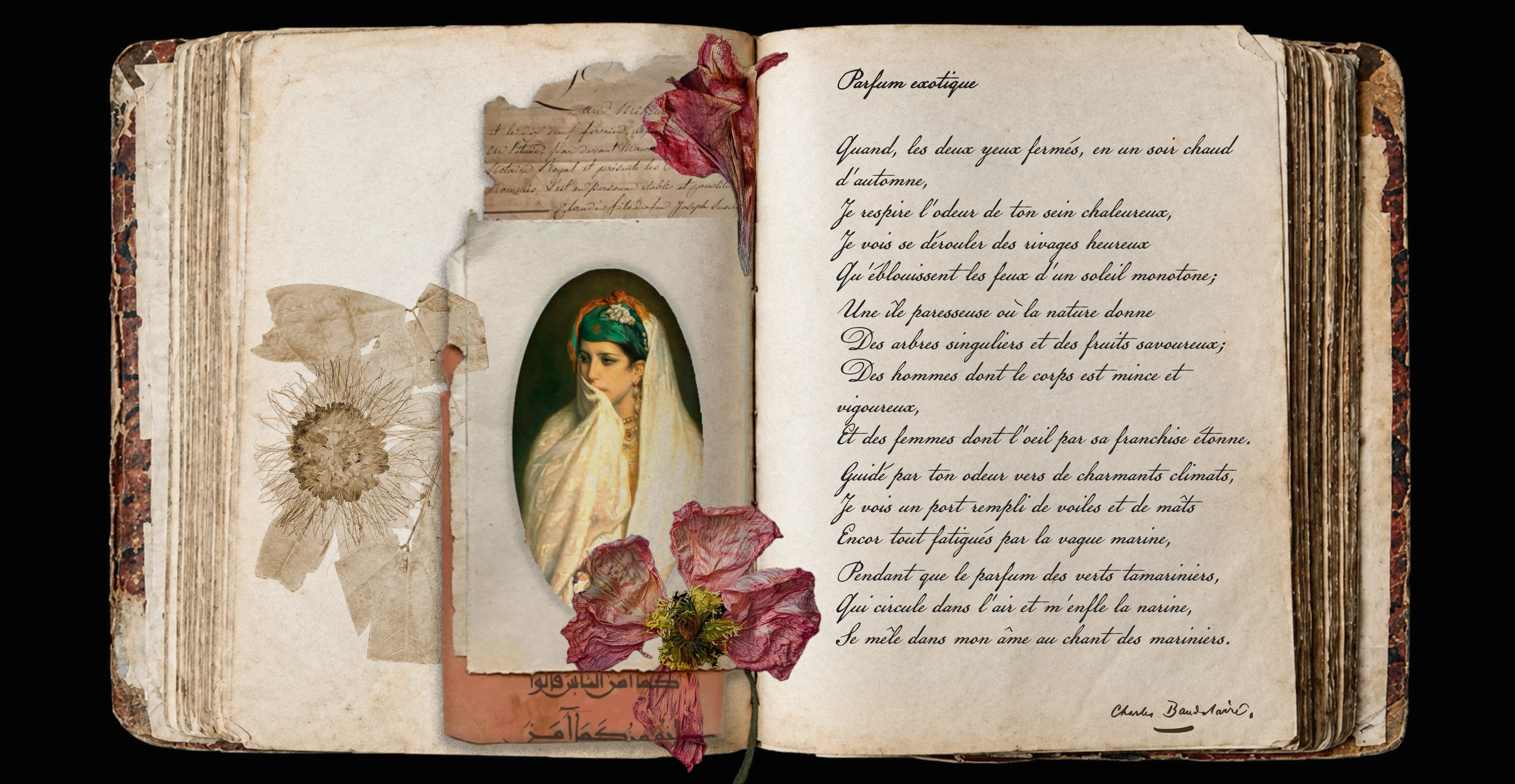 La Casa de los Aromas — The Poem 1